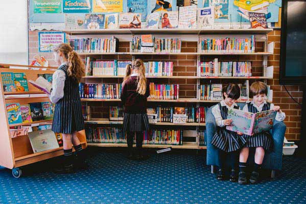 St Joseph's Catholic Primary School Como-Oyster Bay - School Life - Library